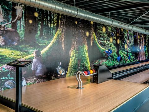 Summio Vakantiepark Schaijk - Landerd - Image N°14