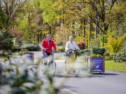 De Rimboe & Woeste Hoogte - Apeldoorn