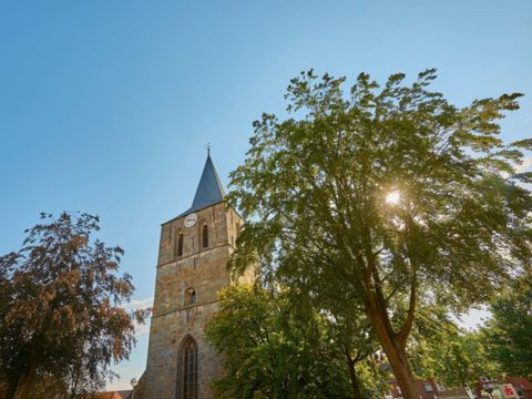 Ferienpark Grafschaft Bentheim - Basse-saxe - Image N°29