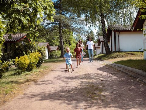 Ferienpark Grafschaft Bentheim - Basse-saxe - Image N°14