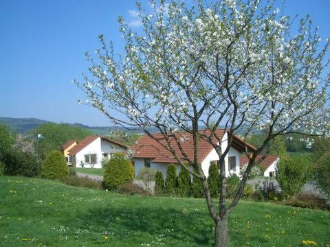 Ferienhaus Uslar GmbH - Camping Basse-saxe - Image N°2