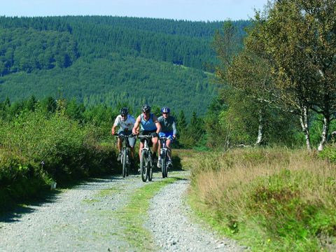 Aparthotel Jägerhaus - Hesse - Image N°3