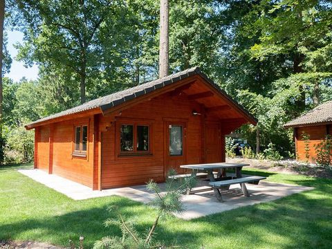 EuroParcs Utrechtse Heuvelrug - Utrechtse Heuvelrug