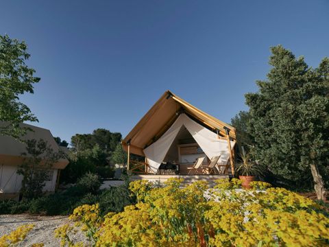 EuroParcs Utrechtse Heuvelrug - Utrechtse Heuvelrug - Image N°16