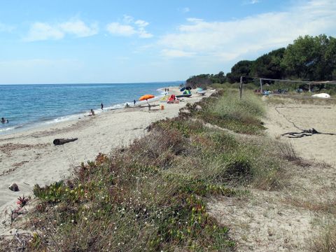 Rico Plage - Camping Corse du Nord - Image N°4
