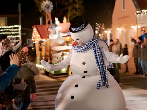 Familie Resort Molenwaard - Molenlanden