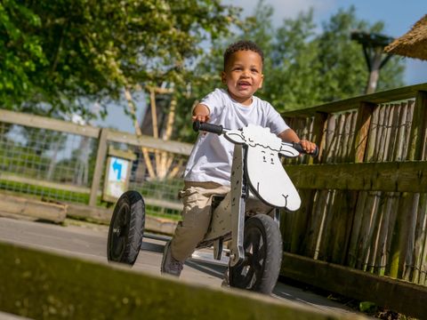Familie Resort Molenwaard - Molenlanden - Image N°10