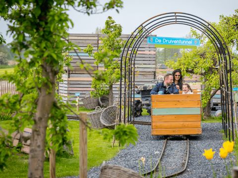 Familie Resort Molenwaard - Molenlanden - Image N°19
