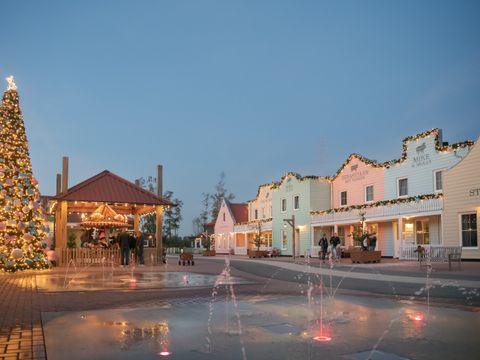 Familie Resort Molenwaard - Molenlanden - Image N°50