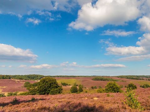 EuroParcs Hoge Kempen - Limburg Belge - Image N°13
