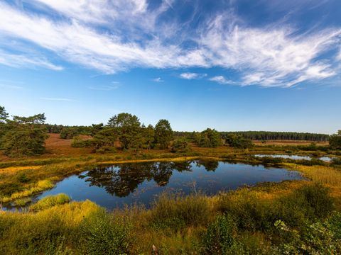 EuroParcs Hoge Kempen - Limburg Belge - Image N°7