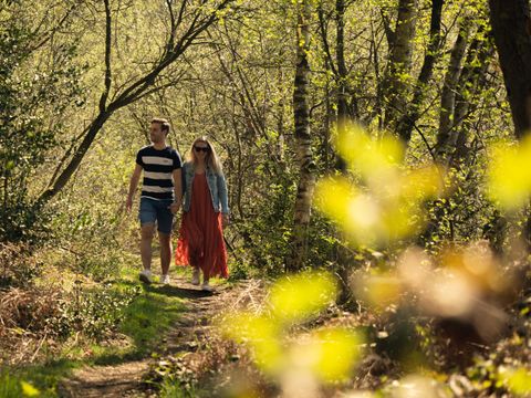 EuroParcs Hoge Kempen - Limburg Belge - Image N°8