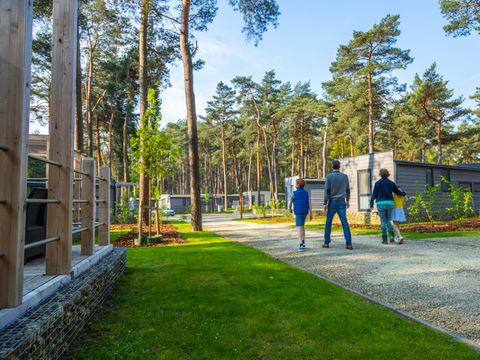 EuroParcs Hoge Kempen - Limburg Belge - Image N°20