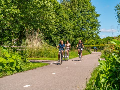 EuroParcs De Woudhoeve - Bergen - Image N°22