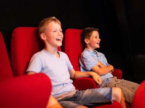 TopParken Resort Veluwe - Barneveld - Image N°12