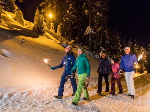 Landal Katschberg - Carinthie