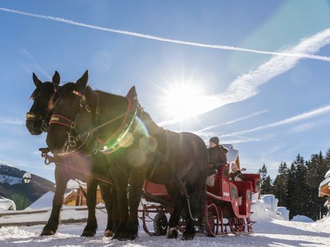 Landal Katschberg - Carinthie