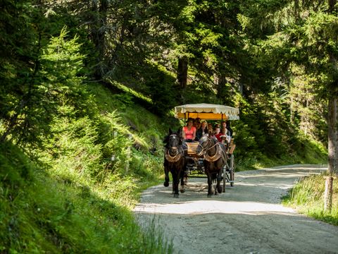 Landal Katschberg - Carinthie