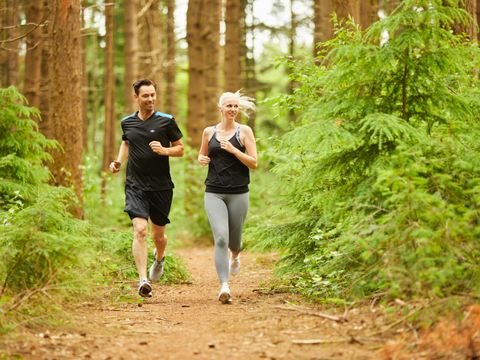 Landal PUUR Exloo - Borger-Odoorn