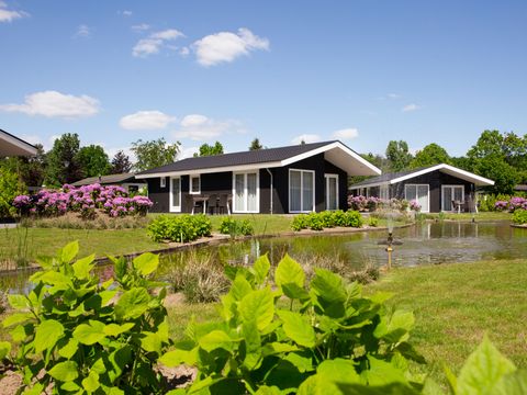 Vakantiepark Molenvelden - Veldhoven