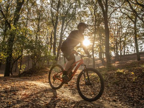 Landal Kaatsheuvel - Loon op Zand