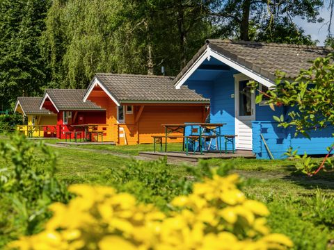 EuroParcs Het Amsterdamse Bos - Amsterdam