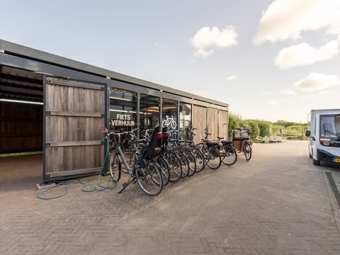 Landal Ameland - Ameland - Image N°2