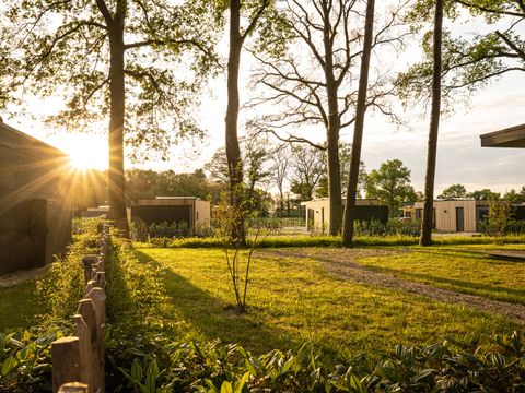 Hofparken Wiltershaar - Winterswijk - Image N°32