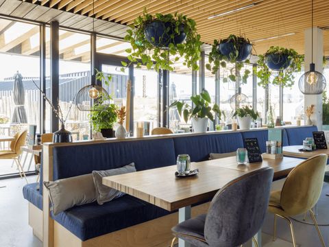 Landal Zandvoort - Zandvoort