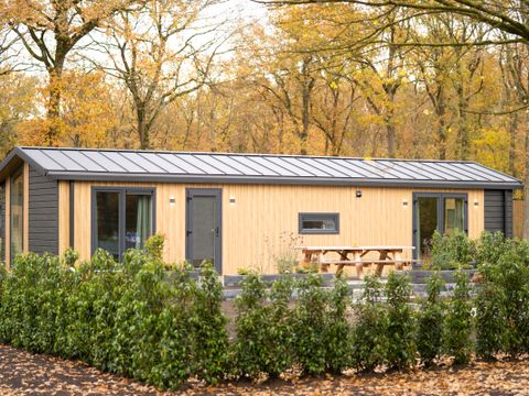 Park Drentheland - Westerveld - Image N°11