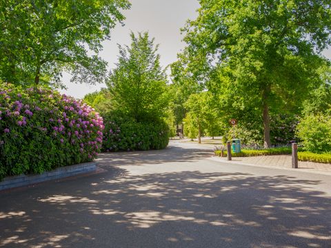 Vakantiepark Latour - Oirschot - Image N°12