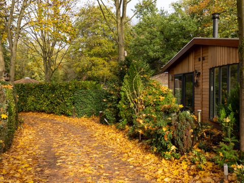Bungalowpark Het Verscholen Dorp - Harderwijk - Image N°19