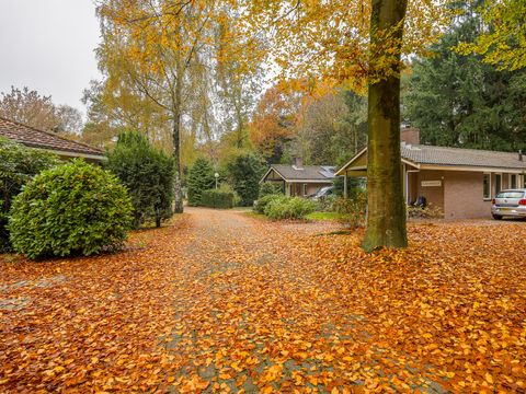 Bungalowpark Het Verscholen Dorp - Harderwijk - Image N°16