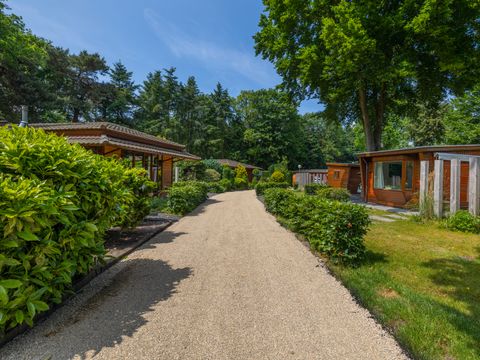 Bungalowpark Het Verscholen Dorp - Harderwijk - Image N°27