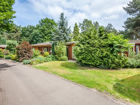 Bungalowpark Het Verscholen Dorp - Harderwijk - Image N°26