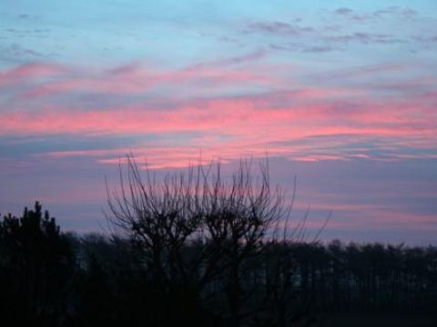 Ferienhof Brockzetel - Basse-saxe - Image N°21