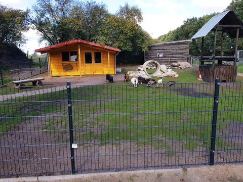 Ferienhof Brockzetel - Basse-saxe - Image N°18