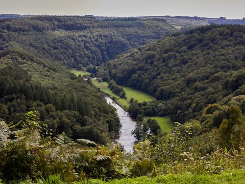 Landal Hillview Resort Grandvoir - Luxembourg - Image N°37