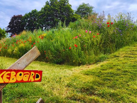 Vodatent Camping de Boomgaard - Limburg Belge - Image N°11
