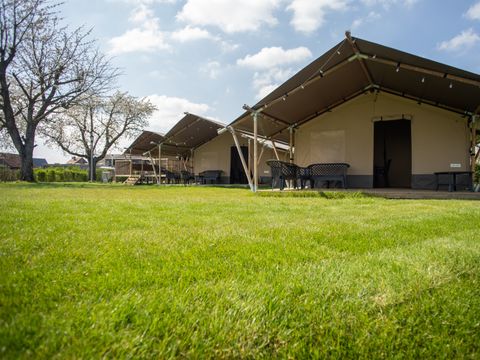 Vodatent Camping de Boomgaard - Limburg Belge - Image N°14