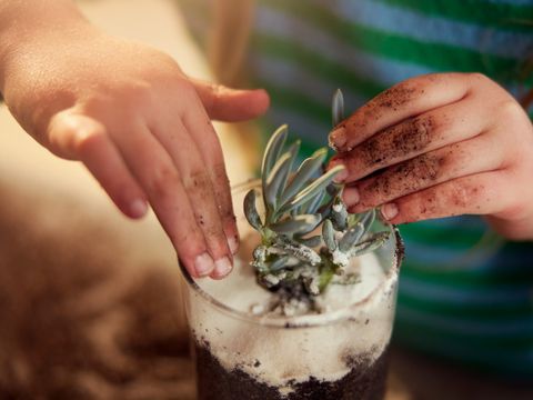 Center Parcs Les Landes de Gascogne - Lot-et-Garonne