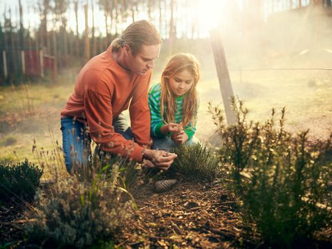 Center Parcs Les Landes de Gascogne - Lot-et-Garonne