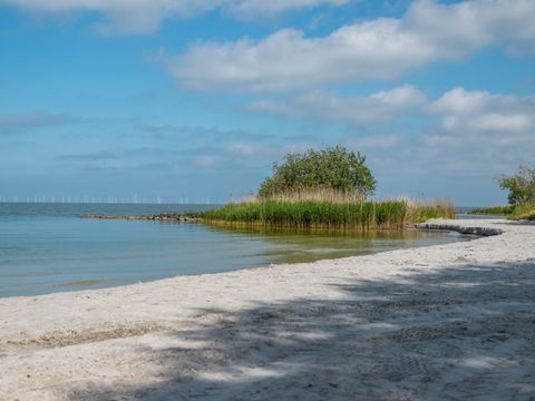 EuroParcs Hindeloopen - Súdwest-Fryslân - Image N°15