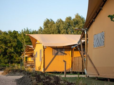 Sahara Stay - Westland