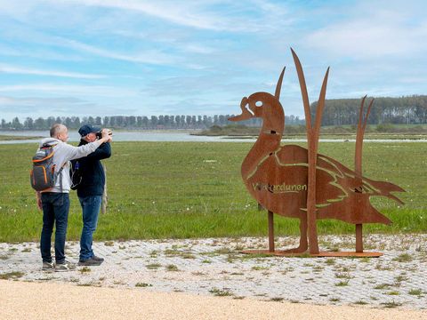 Molecaten Park Waterdunen - Sluis - Image N°22