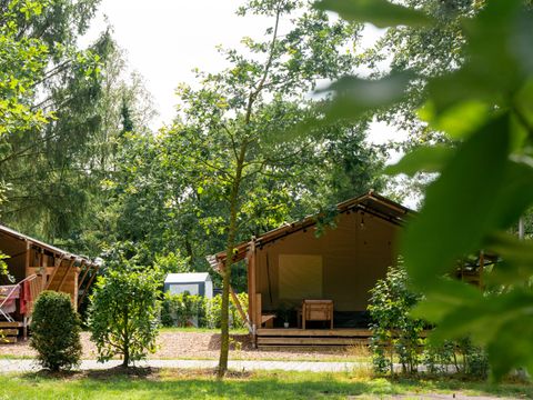 Vodatent Camping de Zeven Heuveltjes - Borger-Odoorn - Image N°5