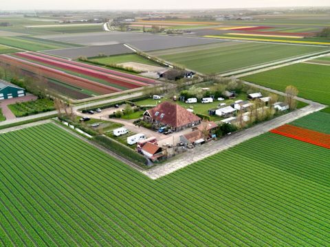Vodatent Camping de Tulpenweide - Hollands Kroon