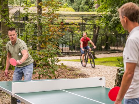 Vakantiepark Zevenbergen - Bernheze - Image N°12