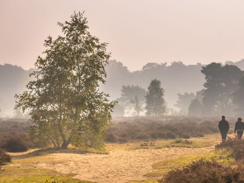 Resort Valley - Ede - Image N°28