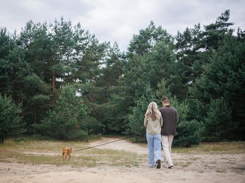Resort Valley - Ede - Image N°26
